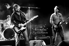 Novembres (12)