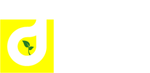D.B.S. Groupe
