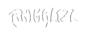Logo Animalize