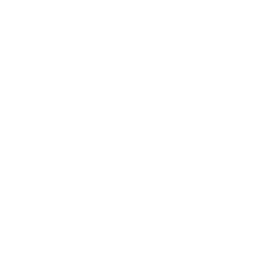 Metalife
